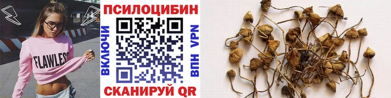 Галлюциногенные грибы прущие грибы  Купить  Боровск 